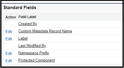 Custom Meta Data Type Standard Fields