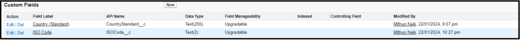 custom metadata custom field creation